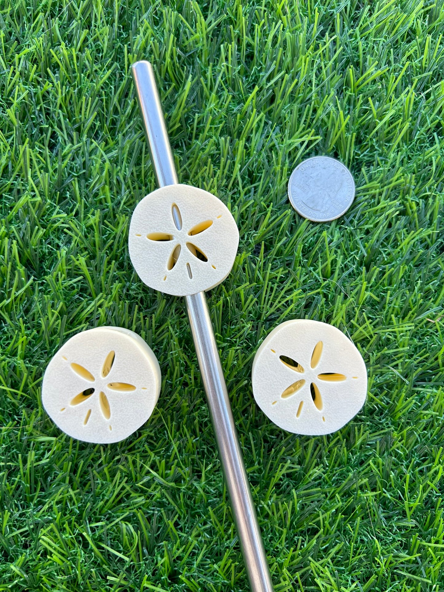 Sand Dollar Straw Topper